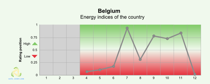 Figure 4. Energy indices of Belgium