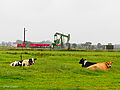 Redevelopment of the Schoonebeek Oil Field, Netherlands (D)