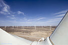 China is the world leader in terms of installed capacity and electricity generation from wind turbines (C)