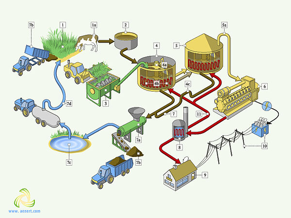 Schematic of the wet biogas production process