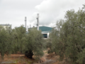 Extragol Electric Power Generation plant, Villanueva de Algaidas (Málaga), Spain (biomass from energy crops, forest waste, and residues derived from agriculture)