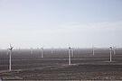 China is the world leader in terms of installed capacity and electricity generation from wind turbines (A)